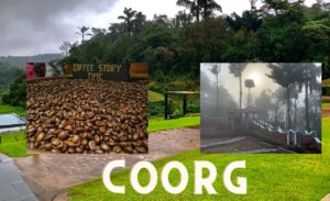 Explore Coorg's coffee plantation and natural wonders