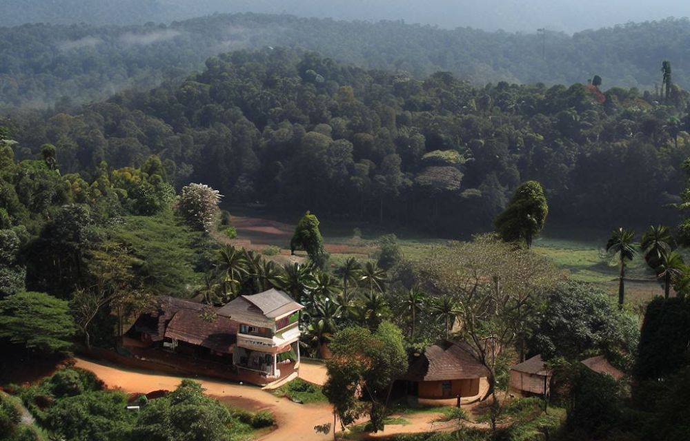 Explore Coorg's coffee plantation and natural wonders