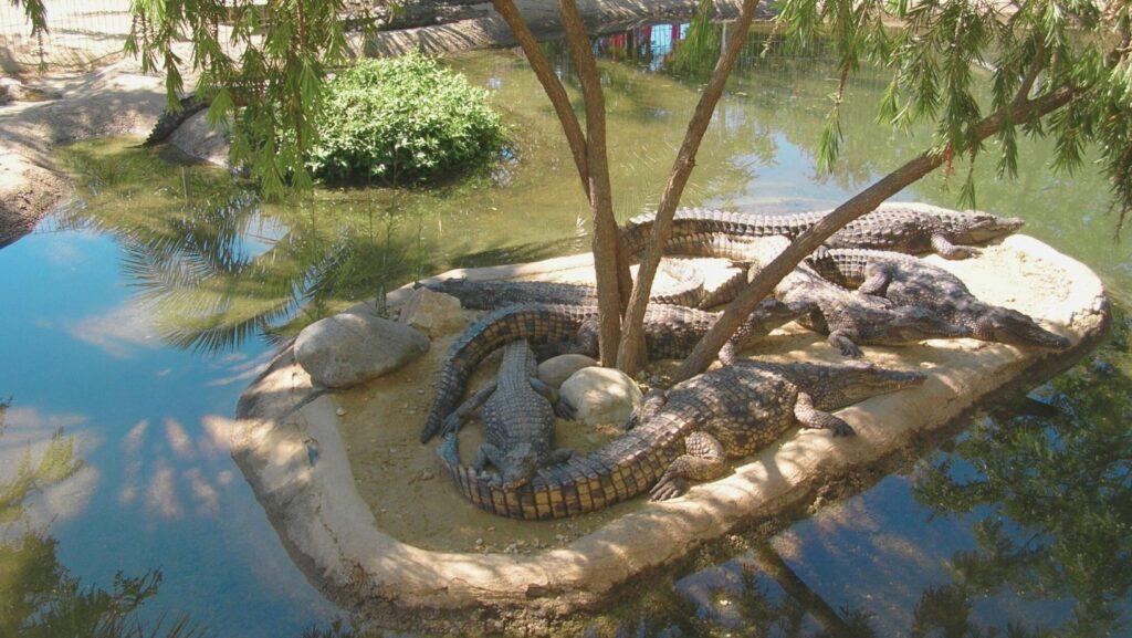 Bhitarkanika National Park