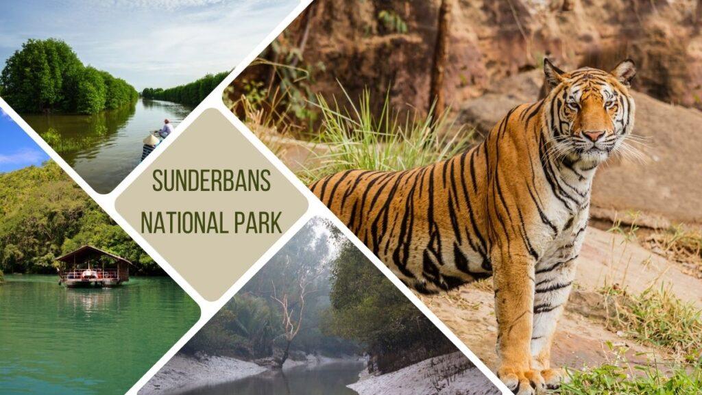 Sunderbans National Park