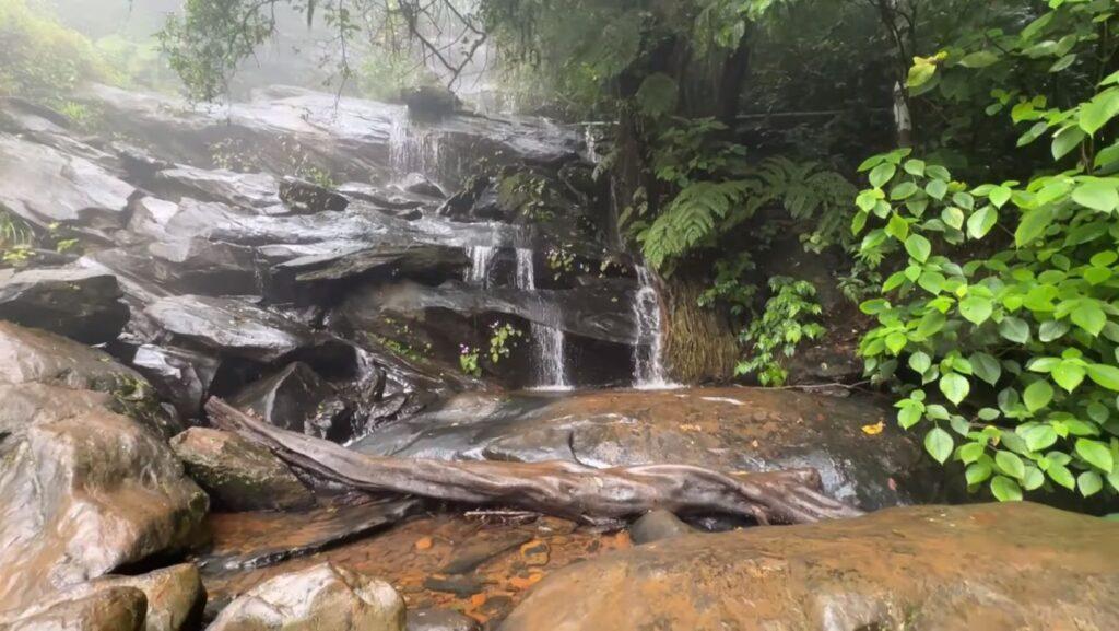 Kudremukh National Park