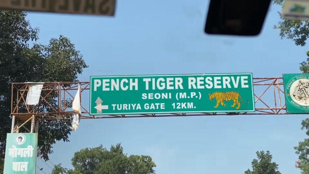 pench evening safari timings