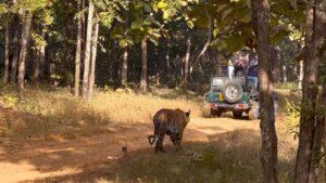 Pench Tiger Reserve