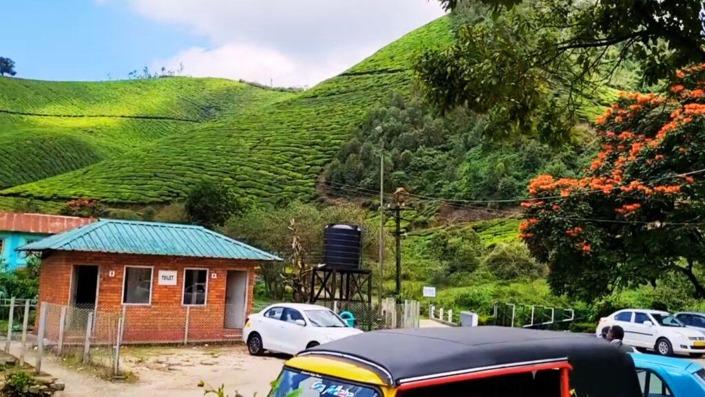 Tata Tea Museum (Munnar