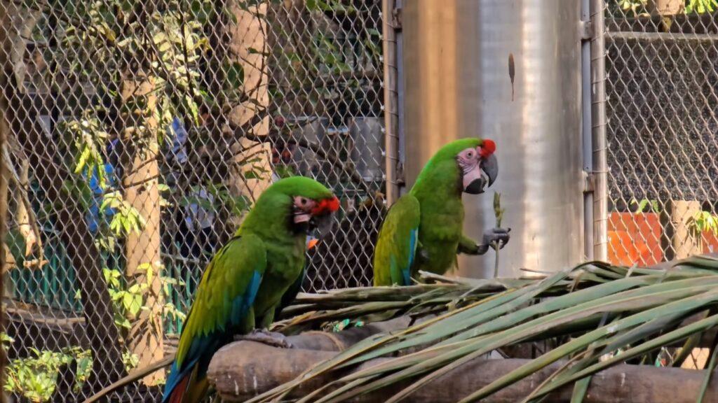 Veermata Jijabai Bhosale Botanical Udyan and Zoo