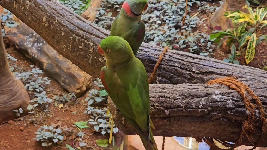 Veermata Jijabai Bhosale Botanical Udyan and Zoo