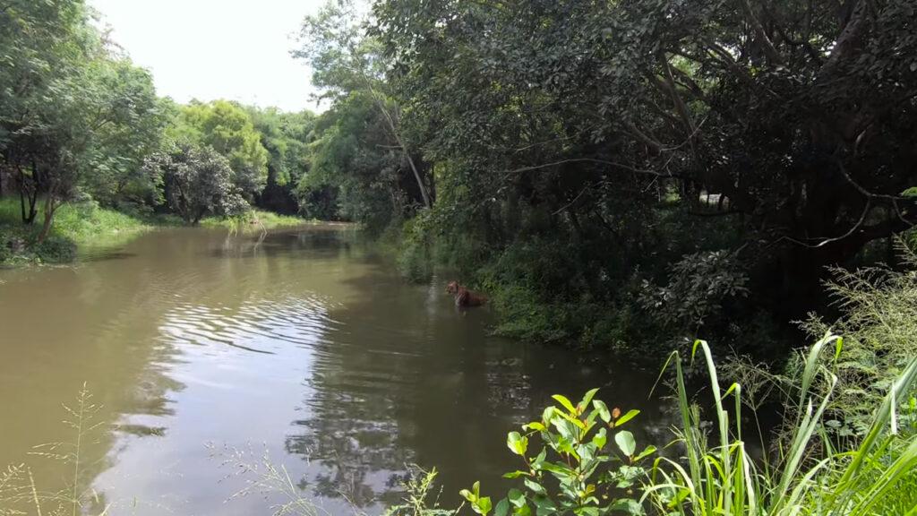 Bannerghatta Biological Park