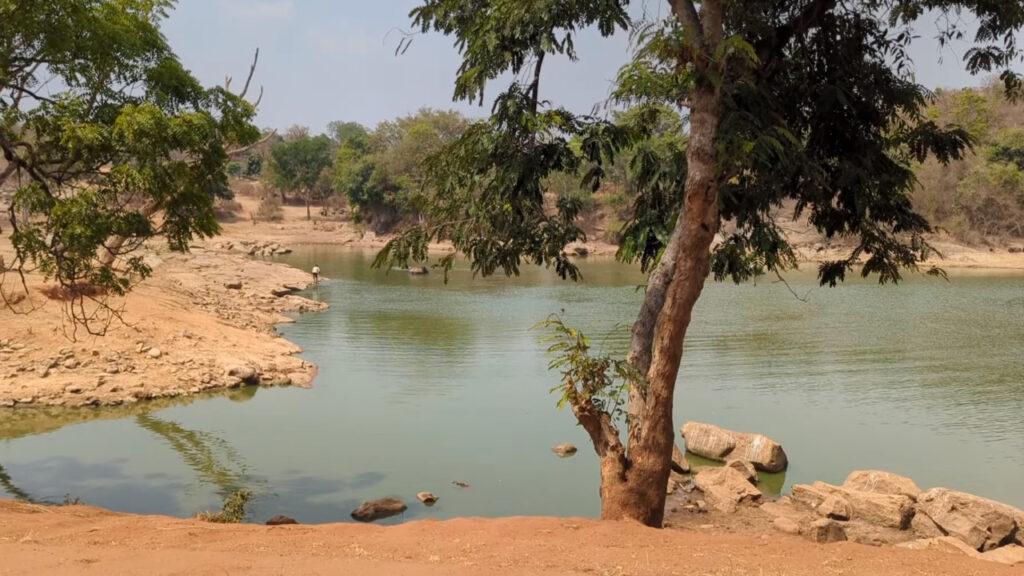 Bannerghatta national park