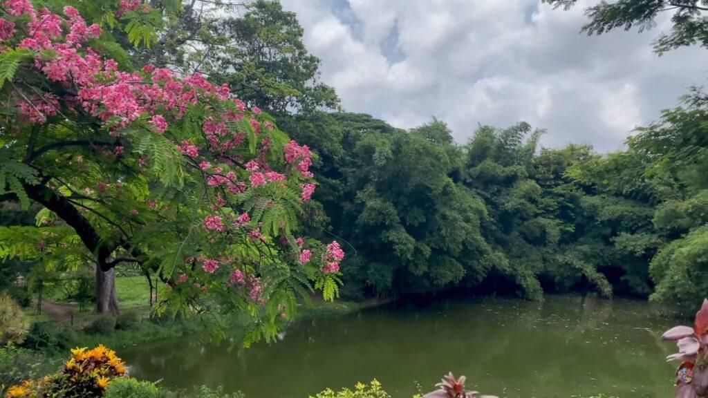 Things to See at Lalbagh Botanical Garden