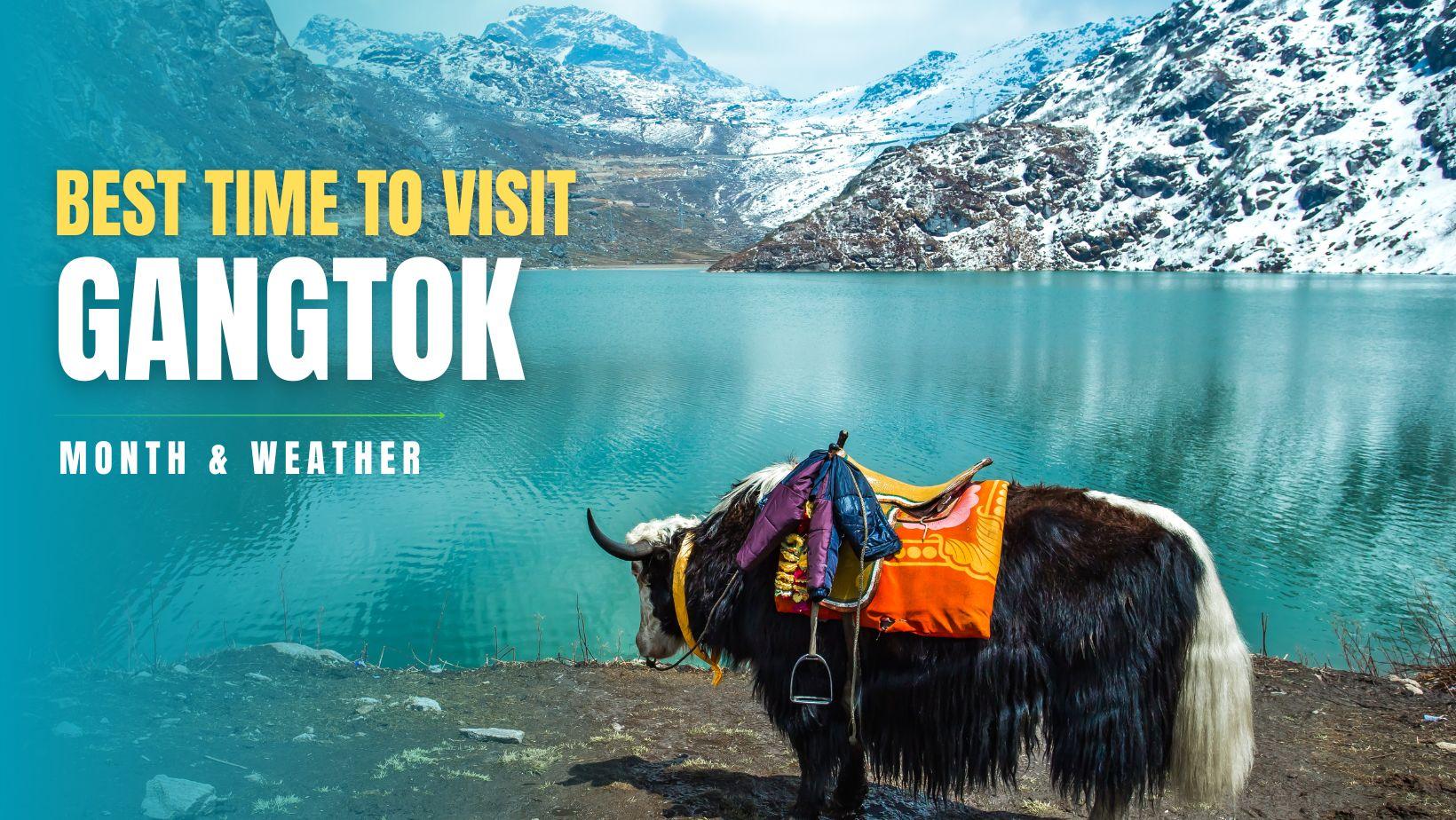 Best Of Gangtok: Unmissable Experiences in the Himalayan Gem Best Of Gangtok: Unmissable Experiences in the Himalayan Gem