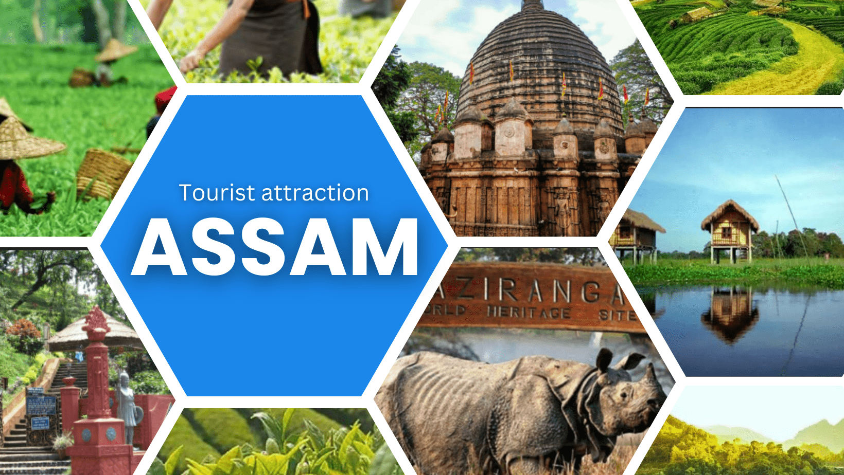 Top Places to Visit in Assam
