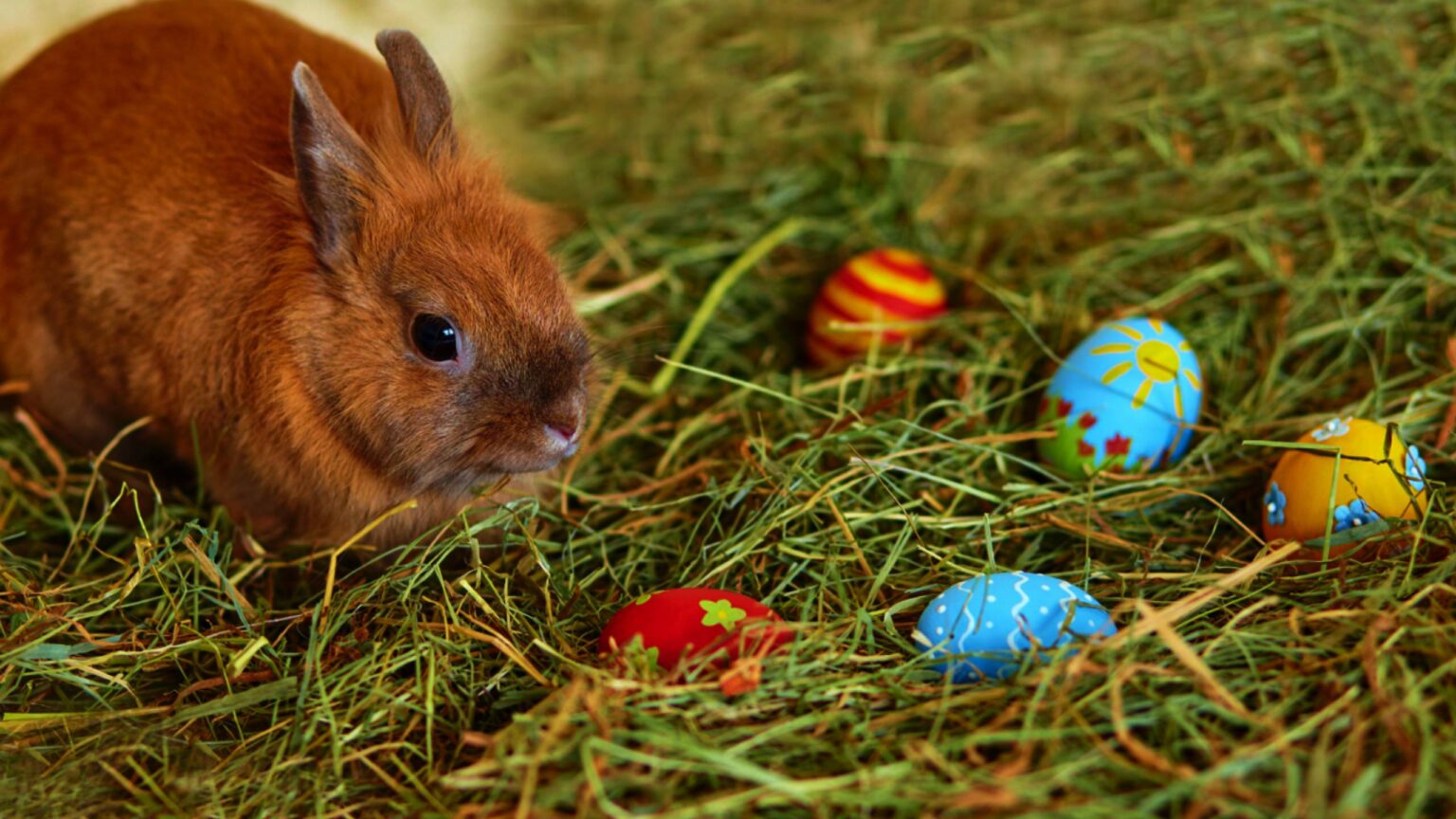 When Is Easter 2026 How Is Easter s Date Determined CityBit Travel when-is-easter-2026-how-is-easter-s-date-determined-citybit-travel