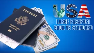 Large Passport Book vs Standard