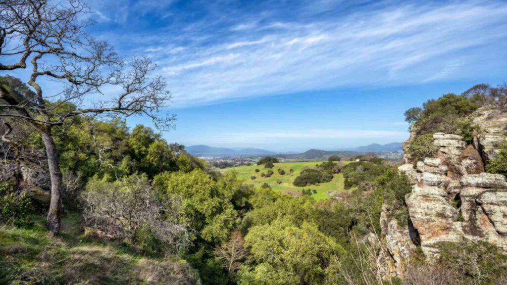 Napa Valley