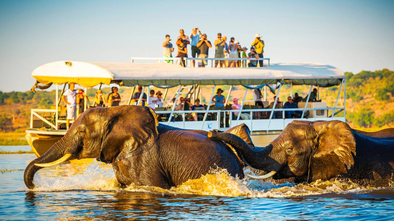 Why May Is the Perfect Month for African Safari