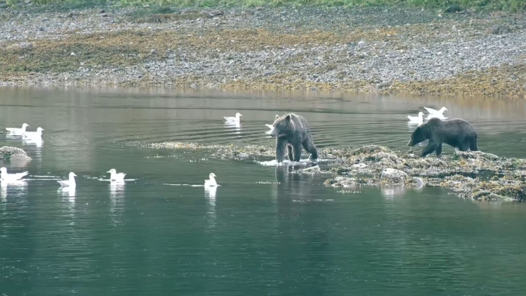 Alaska