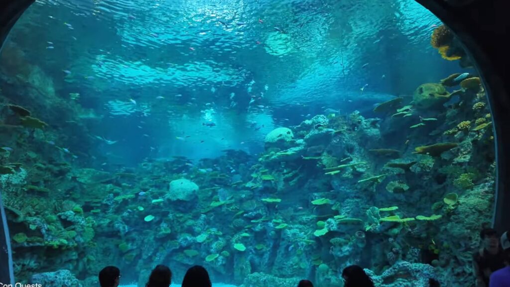 Seattle Aquarium