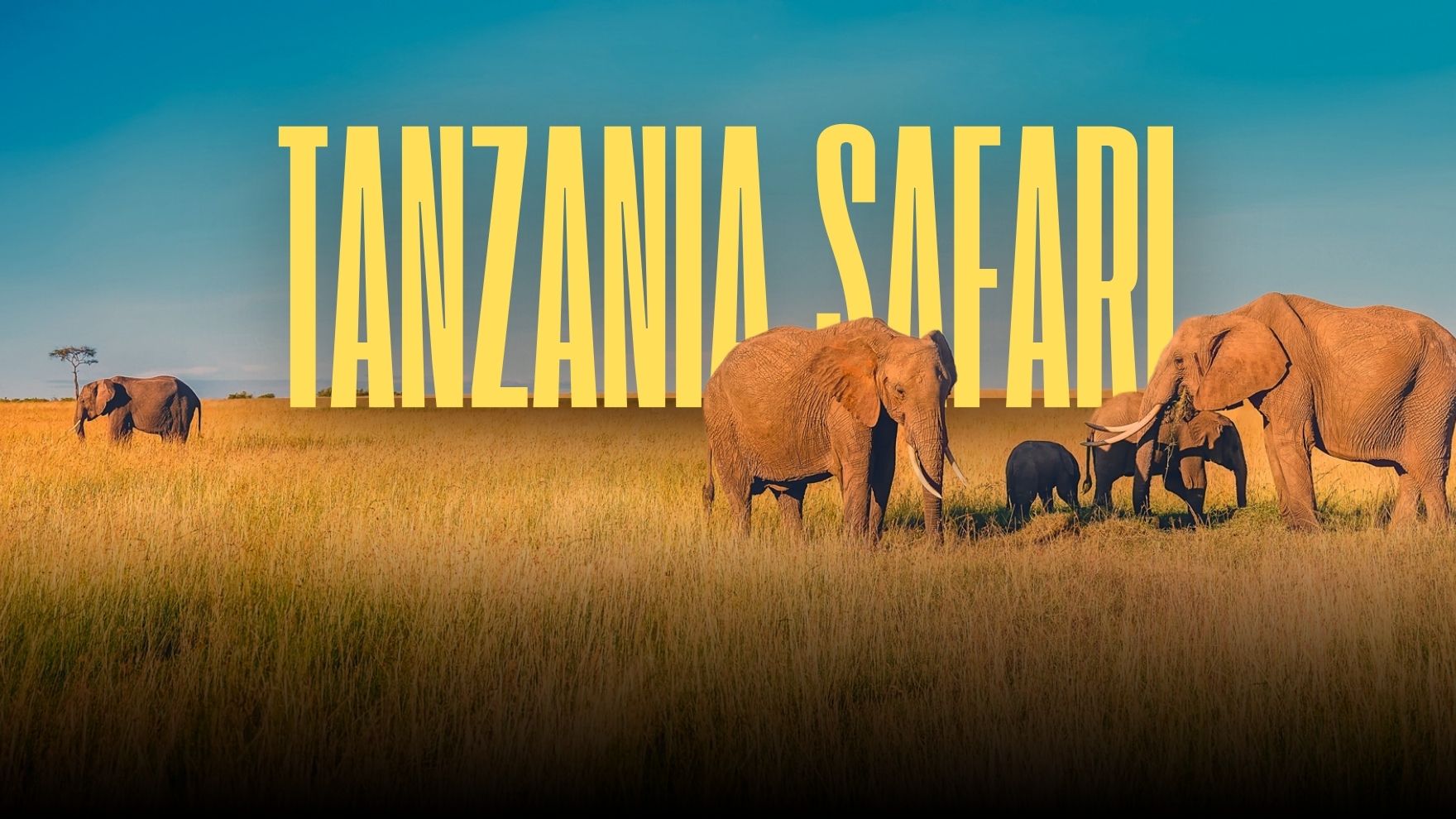 tanzania-safari