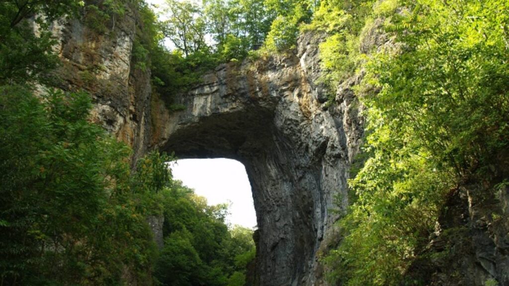 natural bridge caverns tickets