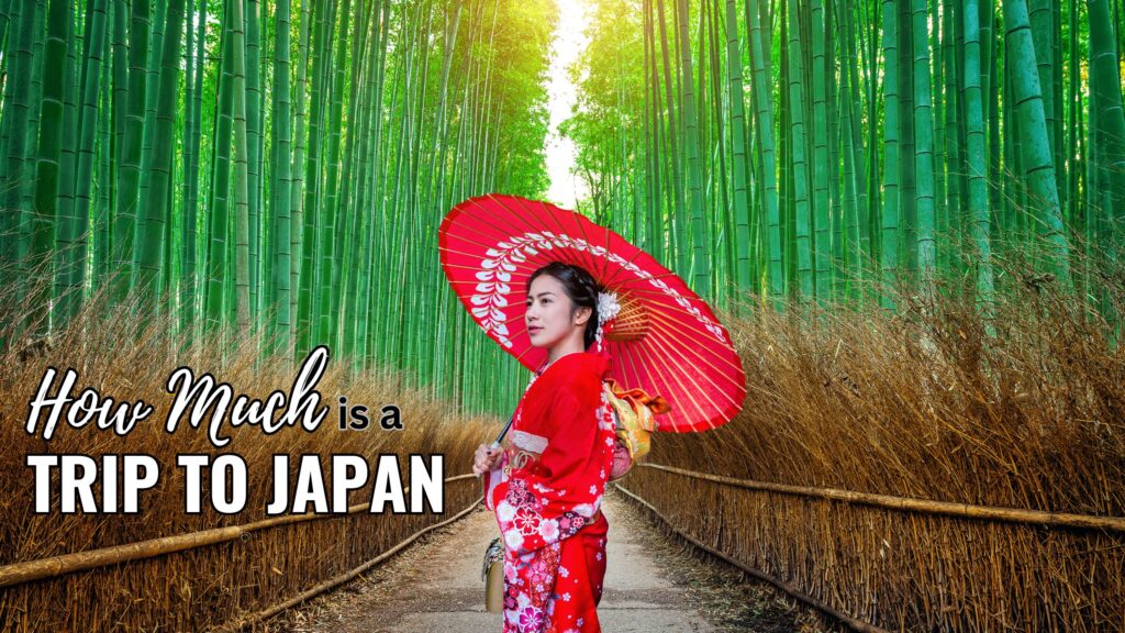 how much is a trip to japan