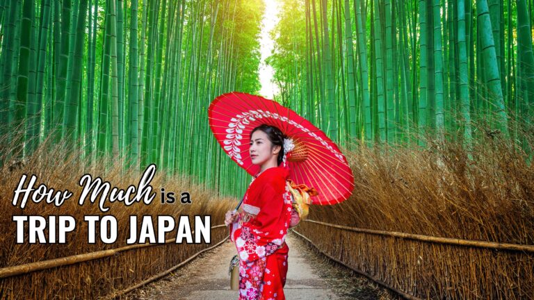 how much is a trip to japan