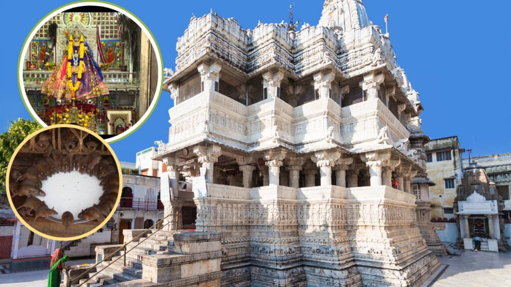 Temple of the Rats in India location