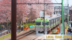What is a local train in Japan