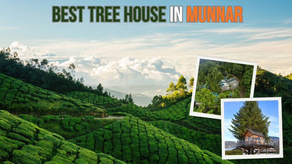 budget-friendly tree houses in Munnar