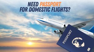 Understanding Domestic Flight Requirements