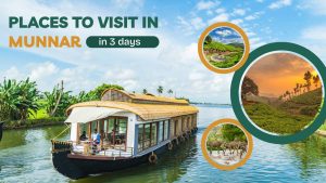 offbeat places to visit in Munnar in 3 days