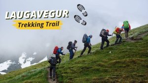 About Laugavegur Trekking Trail